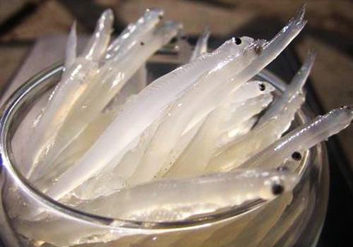 孕妇腿抽筋吃什么食补（孕妇孕晚期腿抽筋吃什么食补）