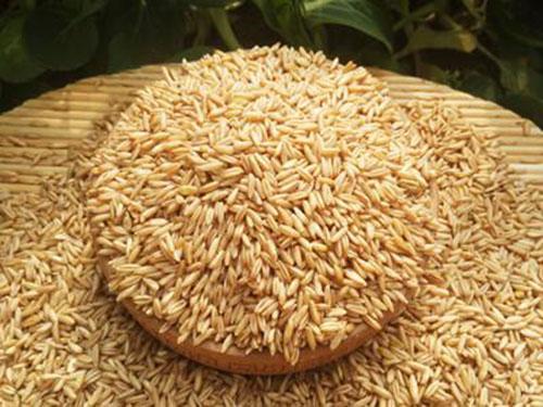 女人晚上吃什么好 女人晚上吃什么好呢