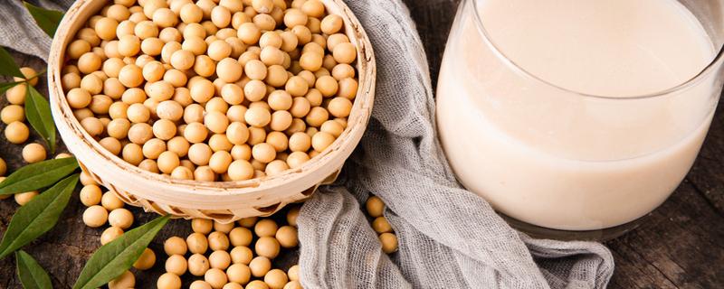 黄豆豆浆可以天天喝吗 豆浆天天吃有副作用吗