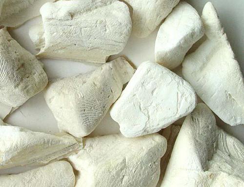 治疗胃溃疡的偏方 治疗胃溃疡的偏方大全