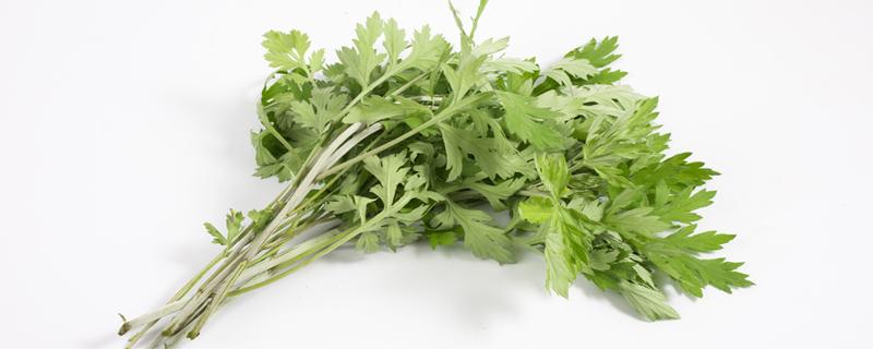 艾草杆子晒干了有用吗 晒干的艾杆有什么用处