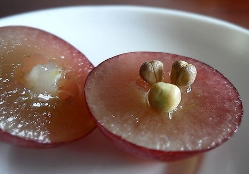 什么食物减肥效果好 吃什么食物对减肥有效