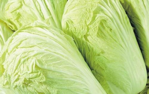 吃大白菜的好处（吃大白菜的好处与功效）