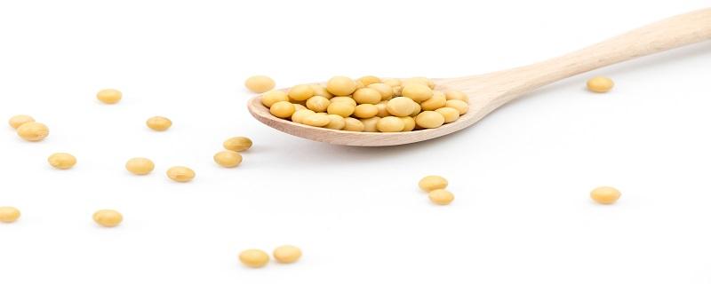 豆浆里放糖小孩喝好吗 豆浆可以放糖喝吗