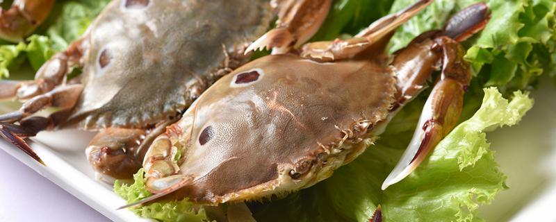 梭子蟹壳里面的东西可以吃吗 梭子蟹壳里什么东西不能吃