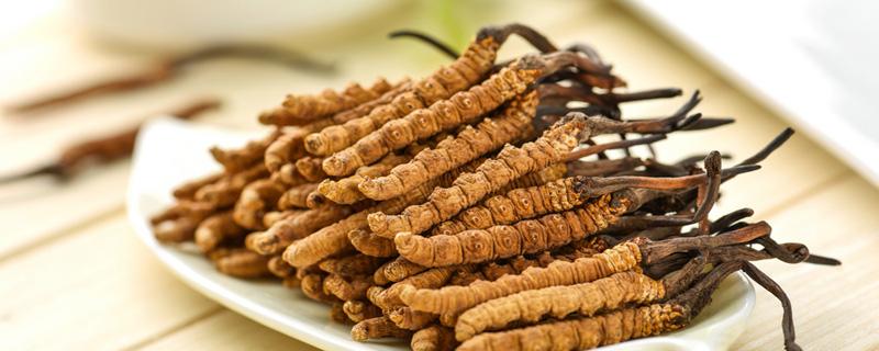 冬虫夏草新草好还是旧草好（冬虫夏草新的和旧的哪种效果好）