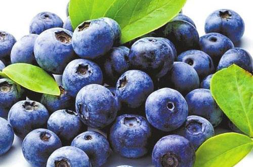 预防近视的水果 预防近视的水果蔬菜