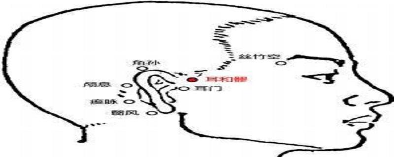 耳和髎的通俗位置 耳和髎的准确位置图片及作用