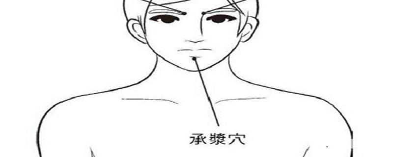 承浆的作用与功效(承浆的神奇作用)