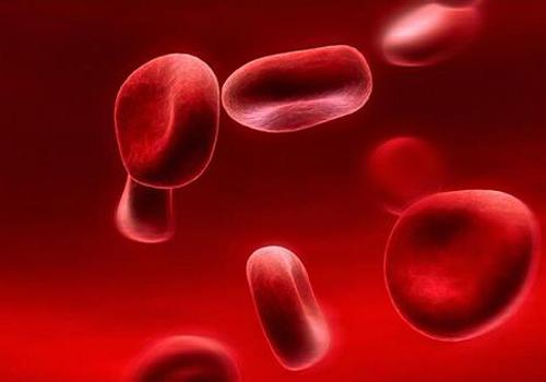 吃什么可以净化血液 吃什么可以净化血液的炎症