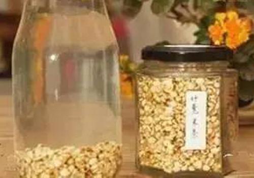 薏米需要炒熟吗（赤小豆和薏米需要炒熟吗）