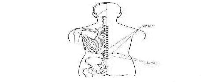志室的定位 志室准确位置图作用