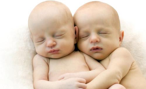 双胞胎是怎么形成的（双胞胎是怎么形成的由谁决定的）