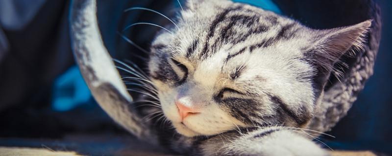 中午怎么趴着睡舒服（怎样趴着睡舒服）