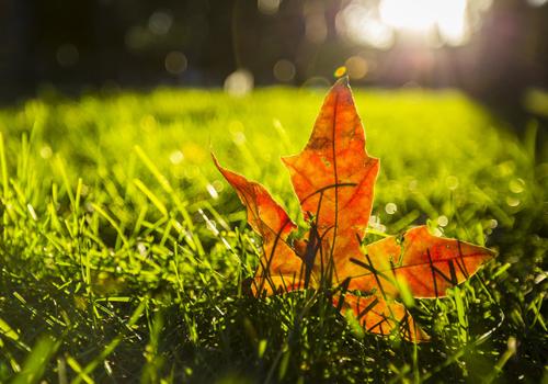 2018年立秋后还在三伏天吗（今年立秋后还有一伏吗）