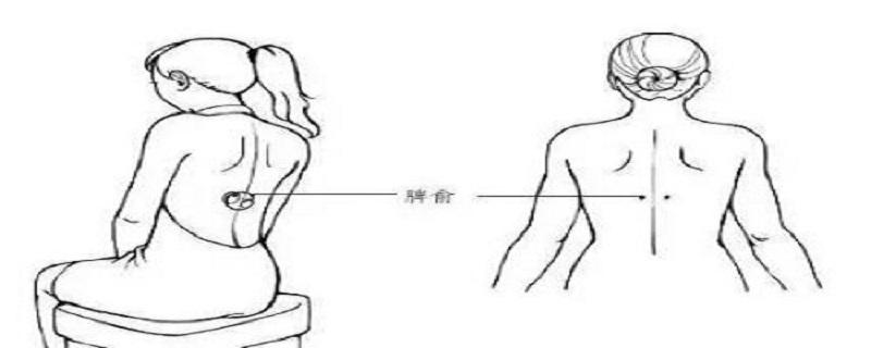 艾灸脾俞的作用和功效 艾灸肾俞脾俞的功效