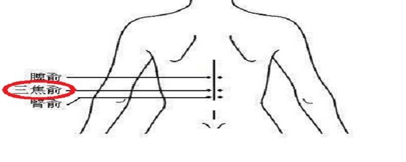 三焦俞的准确位置图（三焦俞的准确位置图作用功效）
