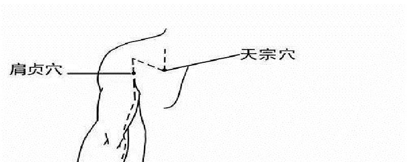 肩贞是什么经络上的(肩髃是什么经络上的)