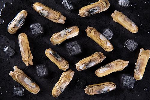 吃蛏子胃疼是什么原因 每次吃蛏子都会胃疼是什么原因