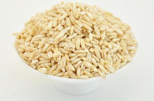 清理肠胃的食物有哪些（什么食物清理肠道）