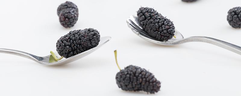 桑葚干可以解酒吗 桑葚干可以解酒吗女性