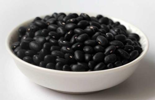 补肾排毒的食物有哪些（养肾排毒食物有哪些）