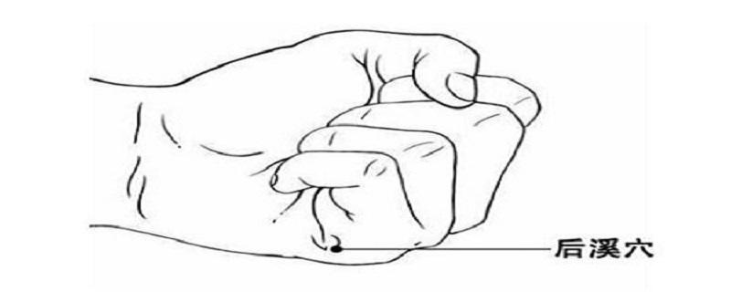 后溪的定位和主治（后溪的准确位置图）