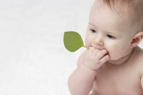 孩子吃海鲜的注意事项（小孩可以多吃海鲜吗）