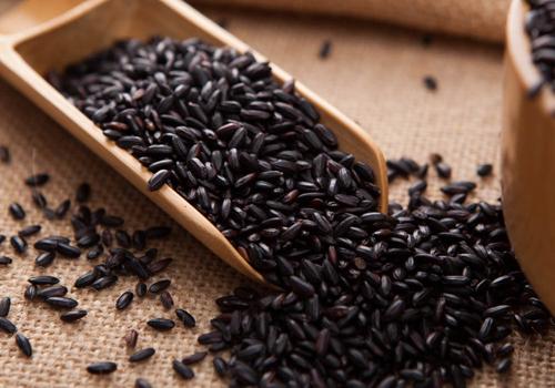 不同的米有什么不一样 不同的米有什么不一样的特点