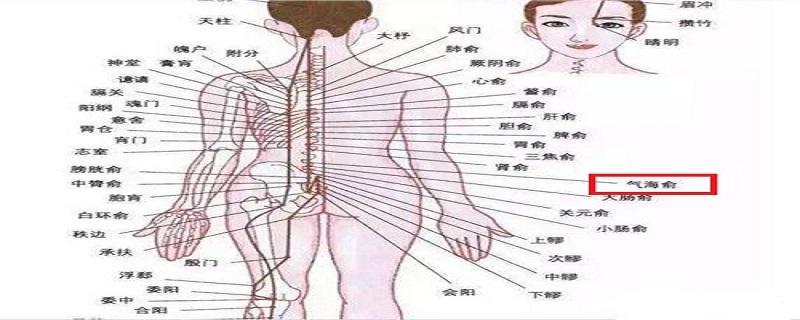 气海俞的准确位置图片（气海俞的准确位置图片女）