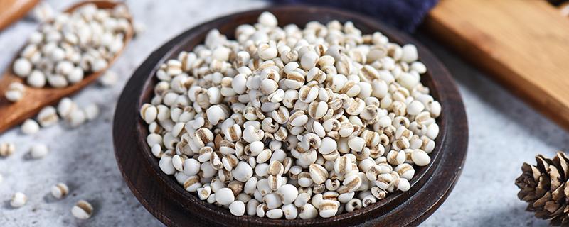 薏仁水怎么做去湿气（薏仁去湿气的做法大全）