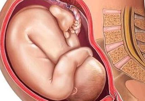 预产期前几天有什么征兆 预产期前几天有什么征兆和反应