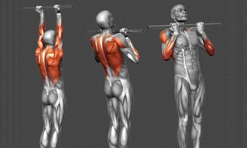 引体向上如何做得更多 引体向上如何做得更多一点