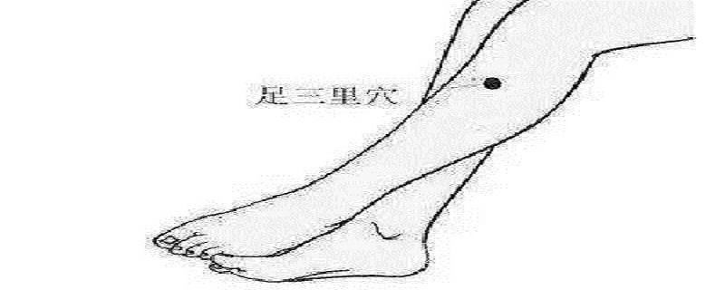 针刺足三里的作用 针刺足三里的注意事项