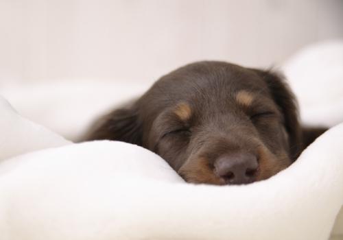 为什么宅男没有女朋友 真相揭秘:让宅男脱单无望的根本原因!