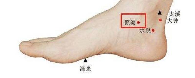 照海怎么找最简单(照海怎么定位)