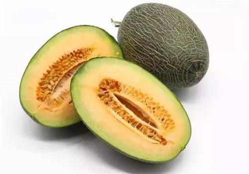 哈密瓜怎么挑甜的 哈密瓜的品种有哪些