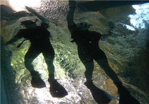 踩水怎么呼吸 游泳踩水如何呼吸