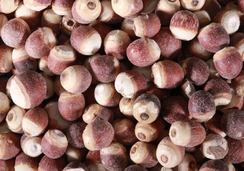 干芡实要泡多久 干芡实需要泡多久