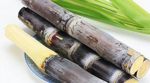 吃甘蔗有什么好处（吃甘蔗有什么好处 百度网盘）