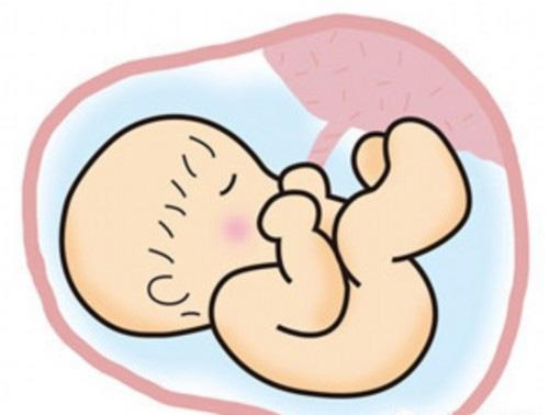 铅对孕妇和胎儿有什么影响 孕妇铅多少会对胎儿有影响