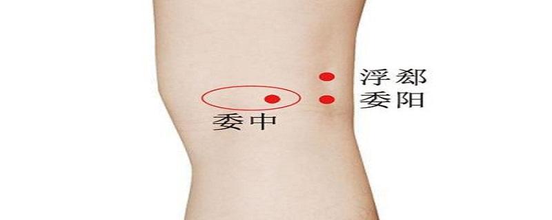 委中在哪个位置 委中的位置及定位方式