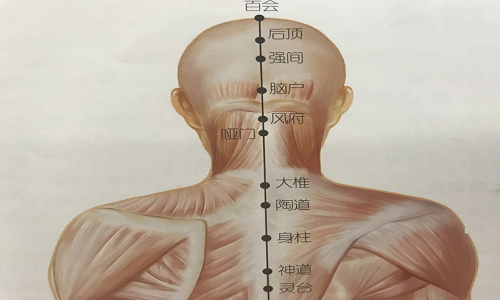 脑户的准确位置图片 脑门的准确位置图片