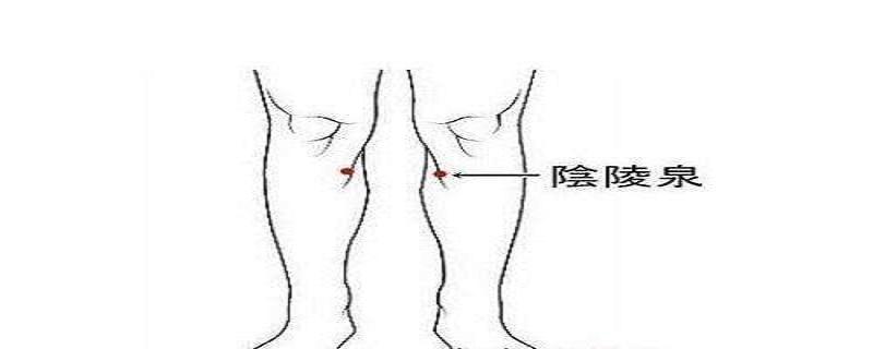 阴陵泉最笨找法(阴陵泉最笨找法丰隆)