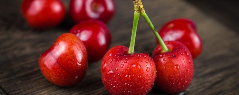 吃什么食物可以补铁 吃什么食物补铁补血效果最好