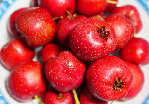 血脂高怎么调理好（血脂高怎么调理好得快）