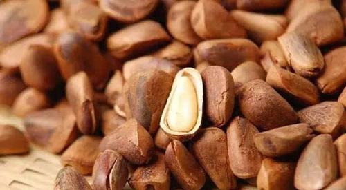 松子不脆了怎么办