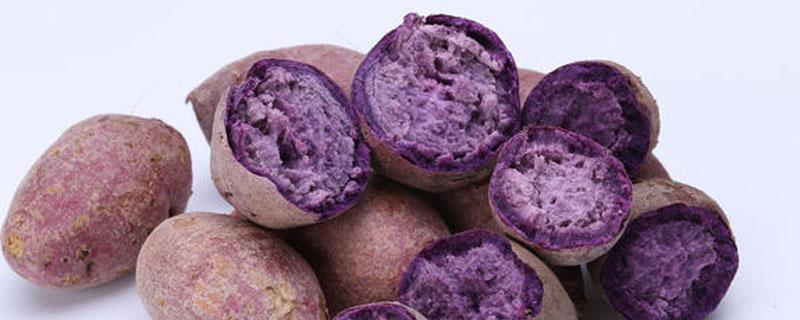 紫薯怎么吃最简单 紫薯怎么吃最好