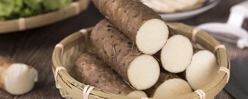 山药搭配什么煲汤最好（山药跟什么搭配煲汤最好）