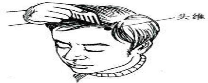 头维的准确位置图视频(头维的准确位置怎么找)